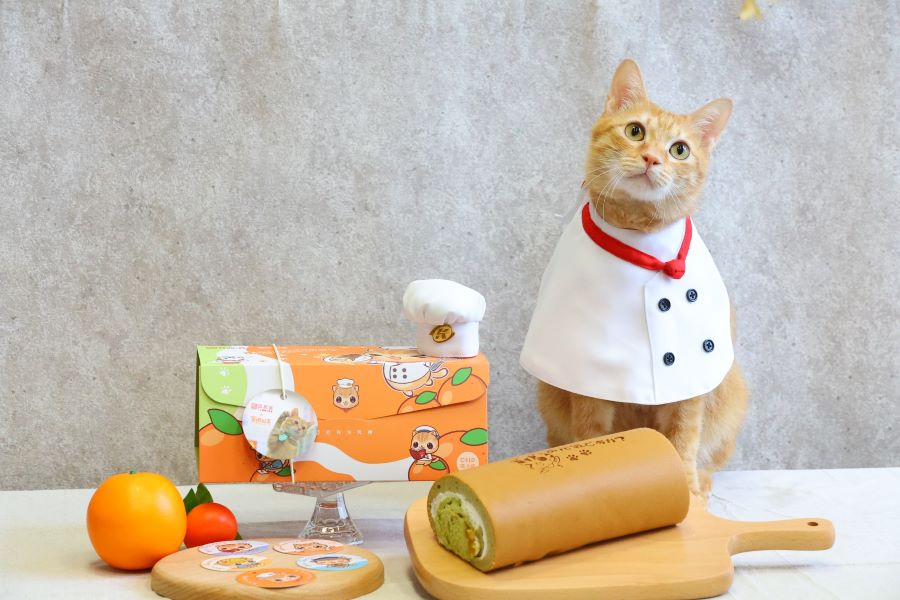 ▲亞尼克X蜜柑站長聯名元氣蜜柑生乳捲即日起全台限量開賣,門市、官網、YTM都買得到。