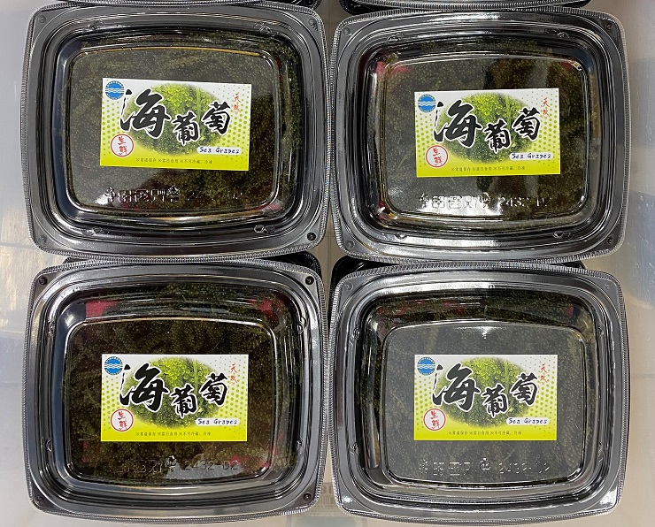 ▲海葡萄盒裝照片。