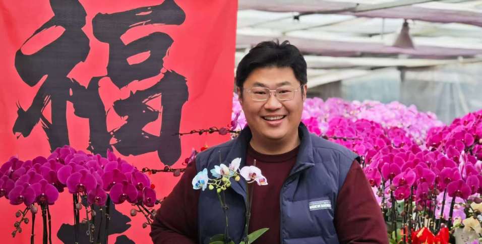 ▲ 臺青王偉全在山東萊陽的泰瑞花卉蘭業公司蝴蝶蘭產量多品種佳。