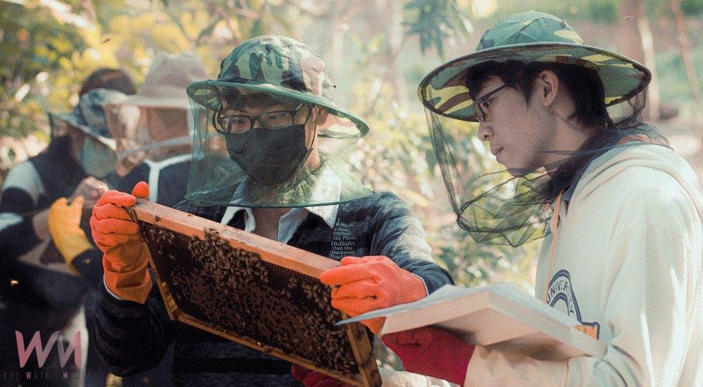 落實淨零、生態保育成典範　東海大學勇奪2025永續行動雙金殊榮 - https://www.watchmedia01.com