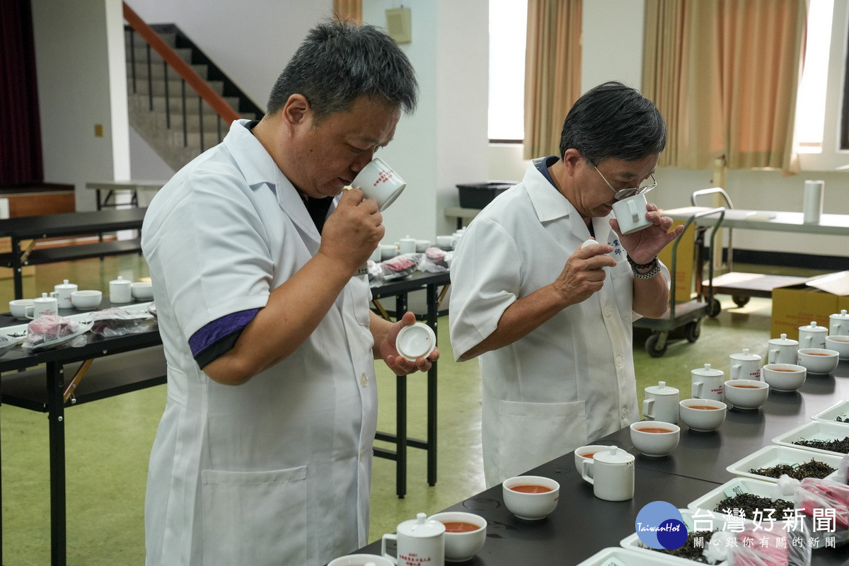 農業部茶及飲料作物改良場副場長邱垂豐(右)與助理研究員羅士凱進行評鑑。