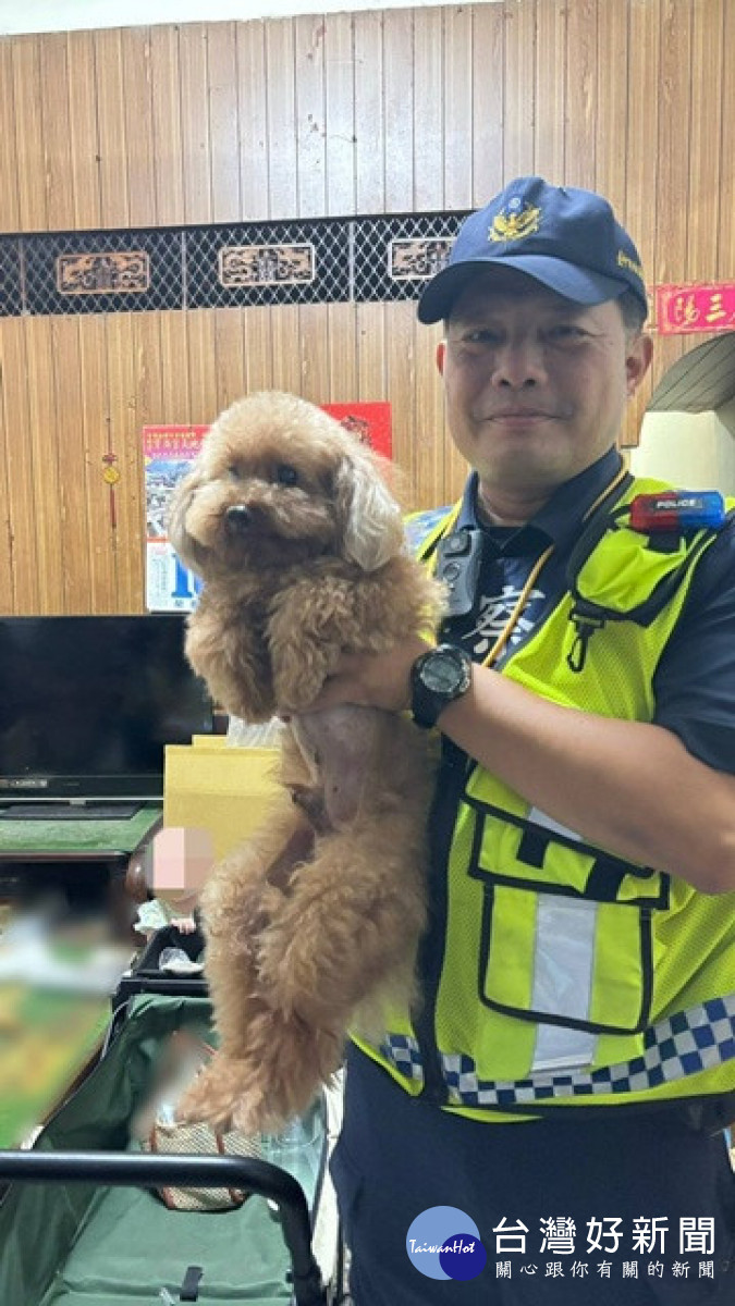走失的小狗。林重鎣翻