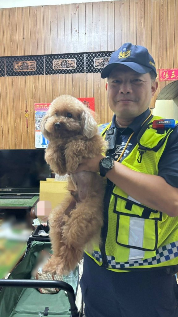 不速之客!- 台中烏日紅貴賓逛大街迷路直衝派出所