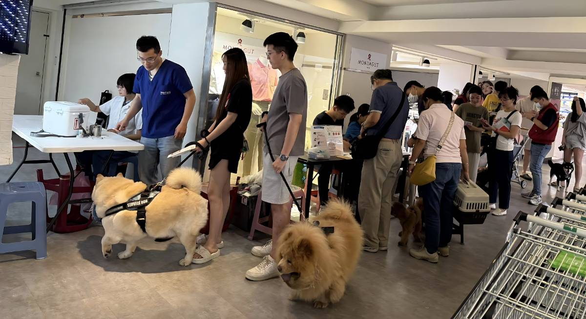 打疫苗兼玩水！　新北「狂犬病日嘉年華」打造毛孩專屬樂園