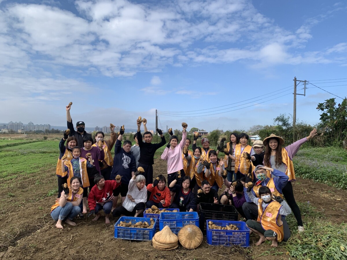 ▲慢飛天使在志工陪伴下一起走進田野踩土、拔地瓜,體驗食農教育。