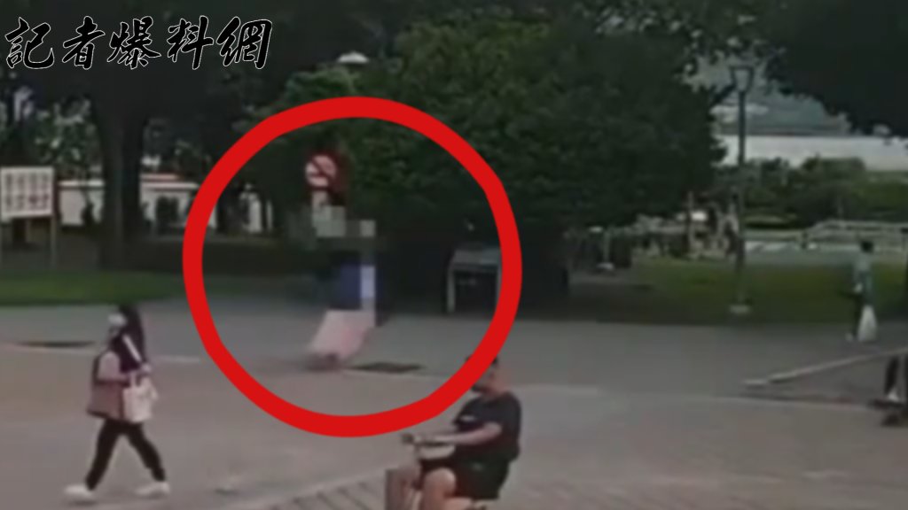 淡水9旬婦失蹤1個月找到人已成遺骨 中籍媳婦「叫不醒婆婆」裝箱棄屍