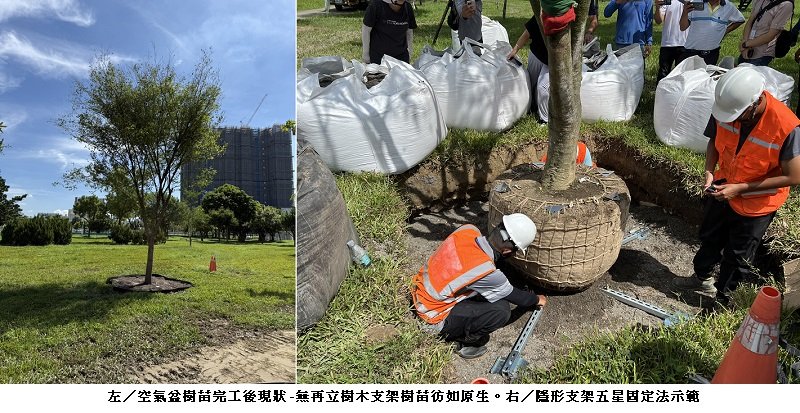 產官學力挺創新！首次導入「空氣盆」 中央公園全樹型示範移種植觀摩獲好評