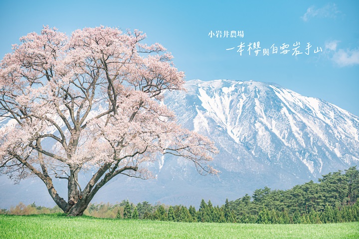 岩手縣和攝影作家 BANBI 在台北4家咖啡館聯展的「岩手影像物件展」即日起在嘎哩咖啡、菸花咖啡、某咖啡、三頁同展出至10/01。 圖:岩手縣 & BANBI/提供