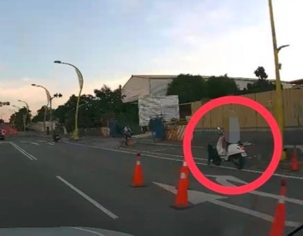 花蓮黑狗闖禍！-　路邊突竄出害機車騎士摔倒受傷