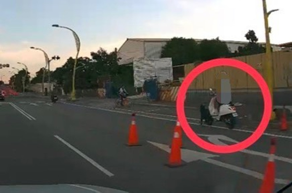 犬隻突衝車道 電動車騎士犁田擦傷警籲確實繫繩 223 cnews204250921a03