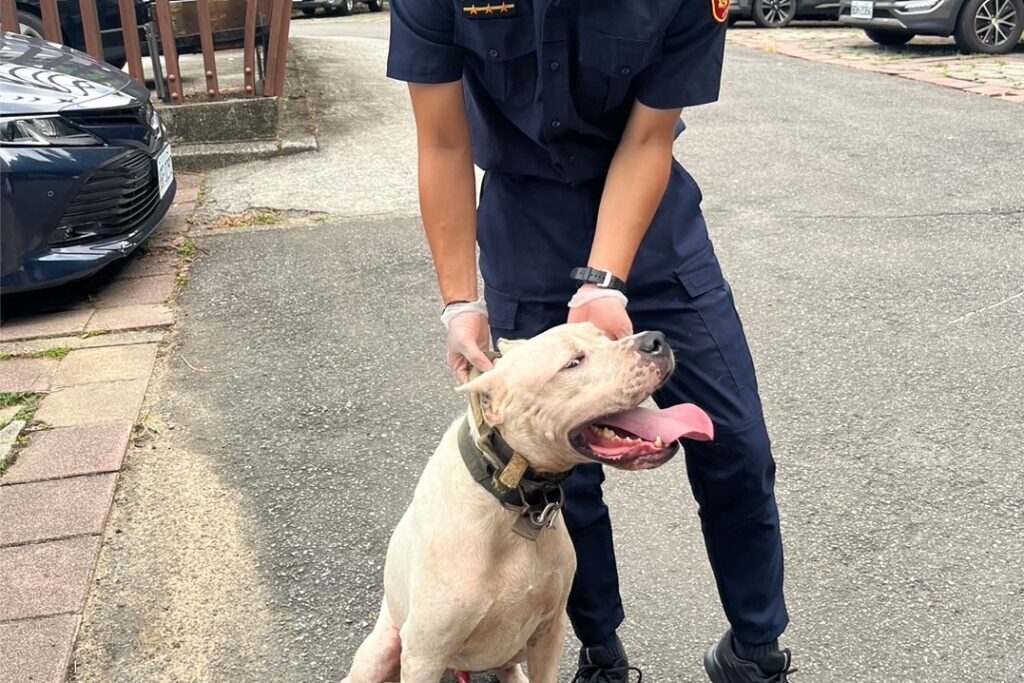 犬隻誤闖幼兒園周邊 警即時處置助其返家 2 MEITU 20250921 102405611