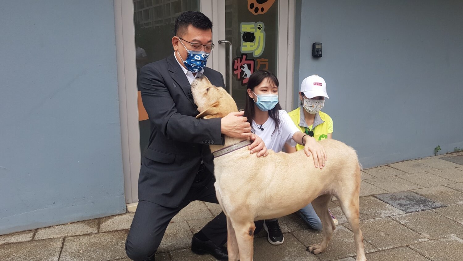 許修睿議長關心動保教育園區犬舍環境,與收容犬親切互動,實踐動保政策落實。(圖/記者張家燁翻攝)