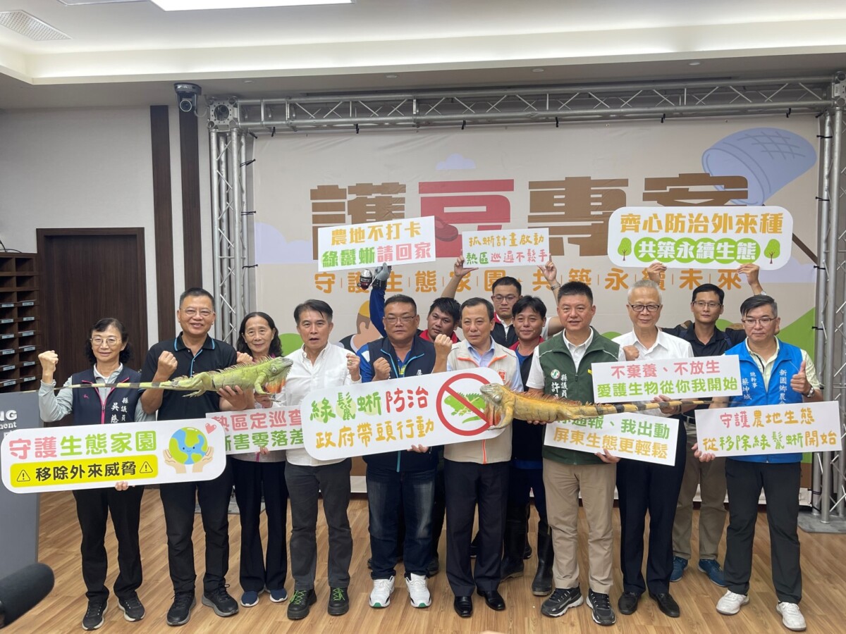 ▲屏東縣政府啟動護豆專案,加強移除綠鬣蜥。