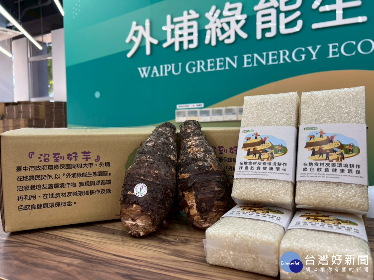 園區副產物沼液循環再利用，施灌栽種友善環境米及芋頭成品