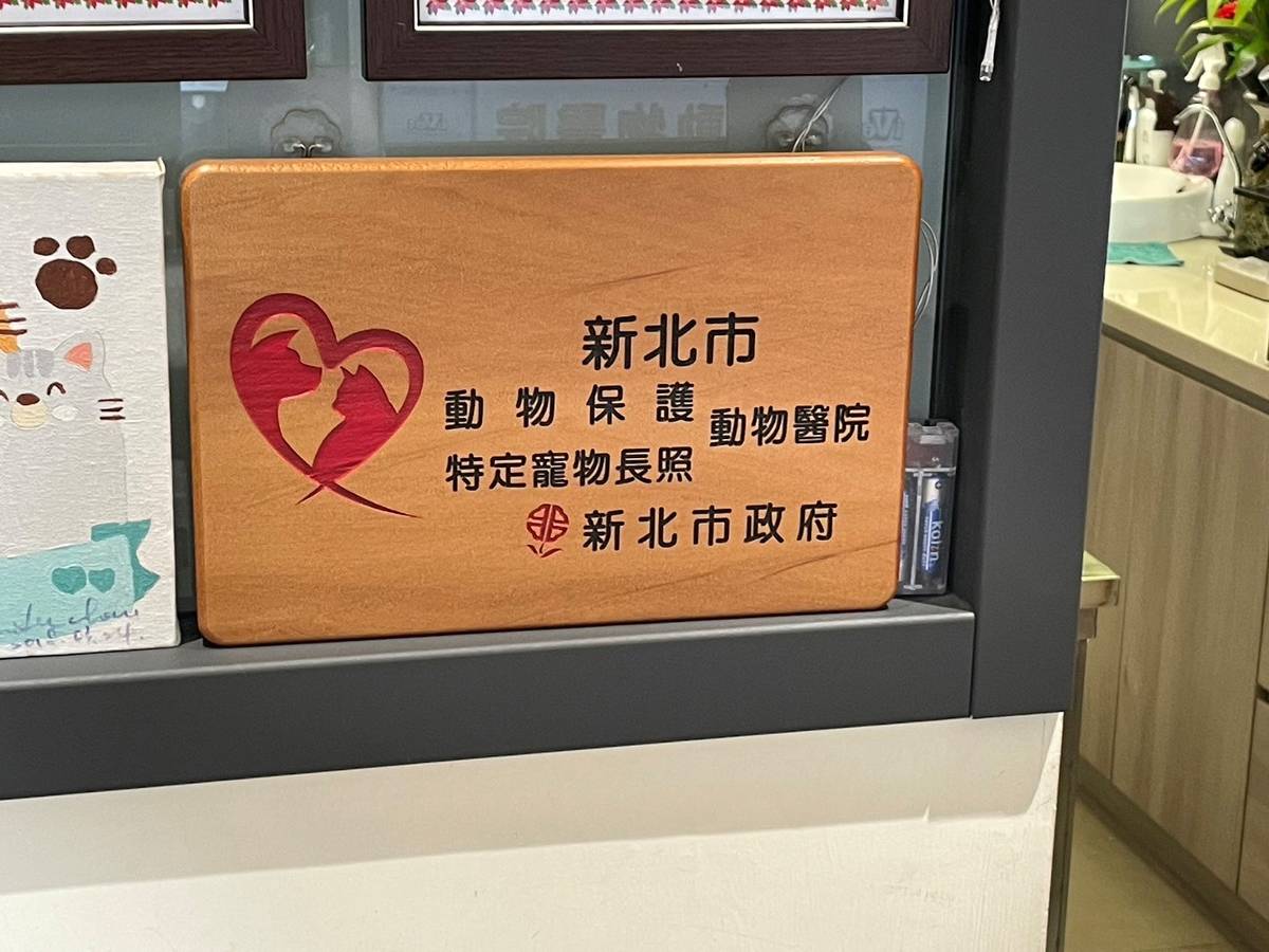 新北開設寵物長照訓練課程 提升高齡犬貓照護品質