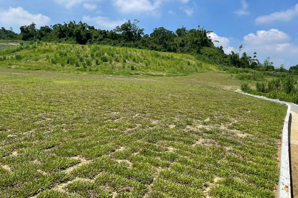 和山光電案濫墾大樹區山坡地 橋檢起訴7人2公司 272 和山光電案濫墾大樹區山坡地 橋檢起訴7人2公司 271