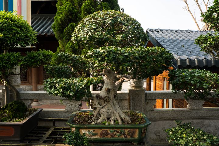 大美非遺:美麗中華十省十藝 走進千年文化現場