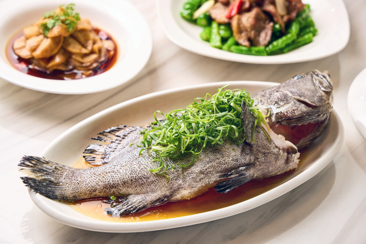 ▲「青絲玉露龍虎斑」選用當季鮮活龍虎斑現點現煮，魚肉細緻滑嫩，與翠綠蔥絲交織出清鮮雅致的海味。（圖/高雄萬豪酒店提供）