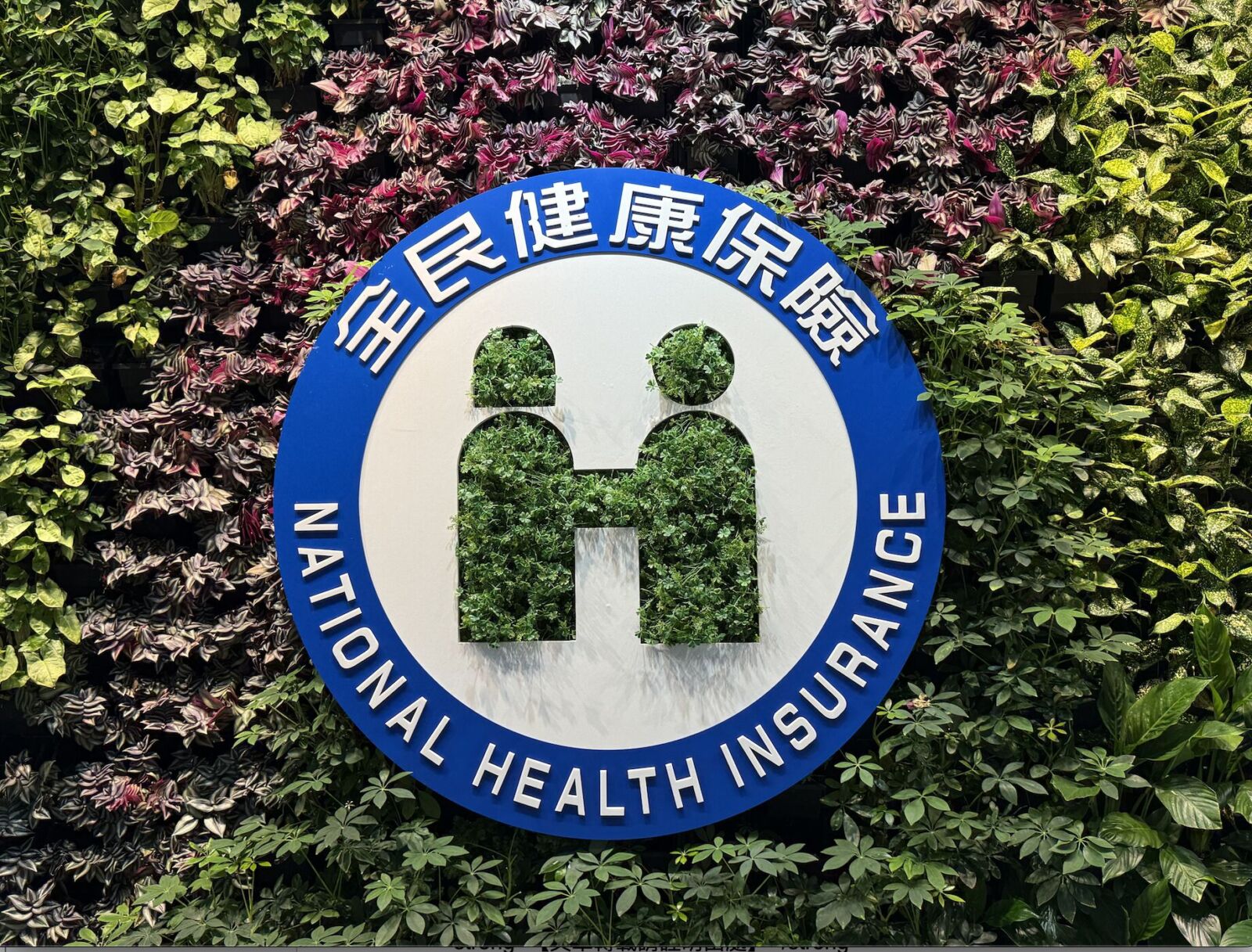 颱風健保卡遺失、毀損不怕! 健保宣布「照樣可就醫、領藥」 260 颱風健保卡遺失、毀損不怕! 健保宣布「照樣可就醫、領藥」 259