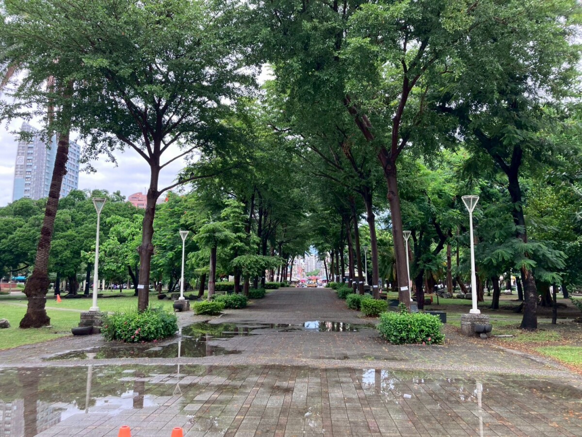 ▲三民公園保綠見成果!康裕成:雙排綠蔭隧道完整保留。