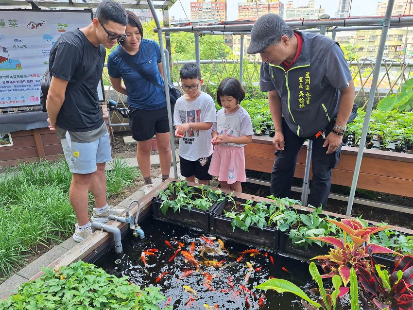 肯定實踐打造永續家園 新北表揚低碳社區 3 《圖說》水湳里設置魚菜共生系統。〈環保局提供〉
