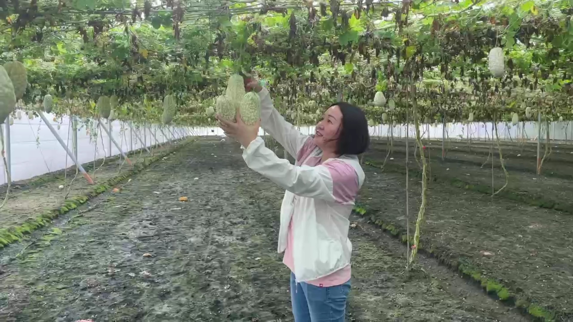 （有影片）／從醫護到田園　湖南新住民陳立云苦盡甘來的跨界人生