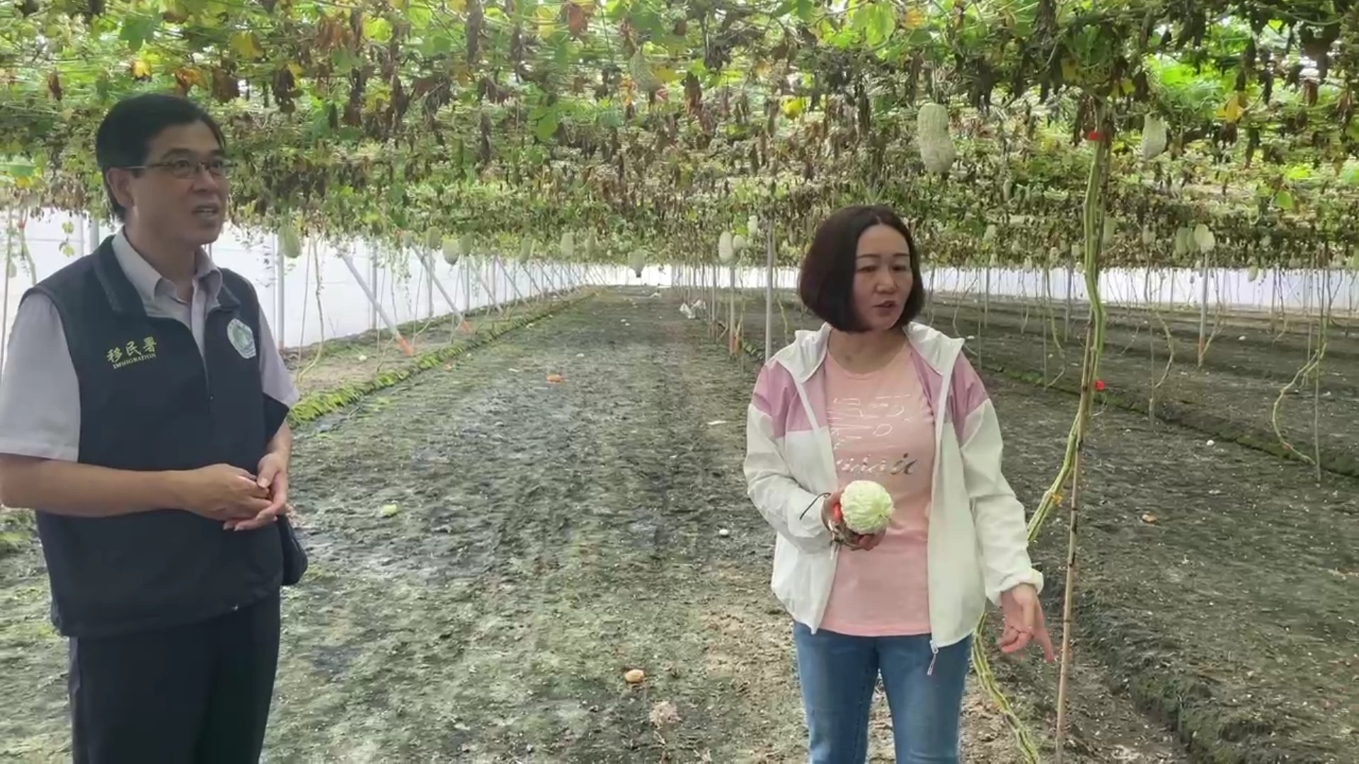 （有影片）／從醫護到田園　湖南新住民陳立云苦盡甘來的跨界人生 - https://www.watchmedia01.com