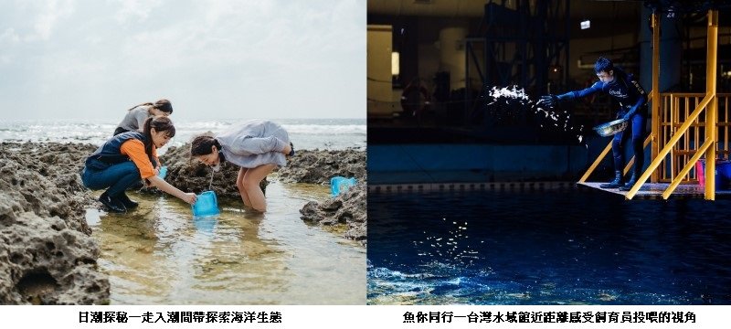 屏東海生館教師節連假必訪魚你同行後場大揭密！日潮探秘與萬聖節主題活動10月接力登場