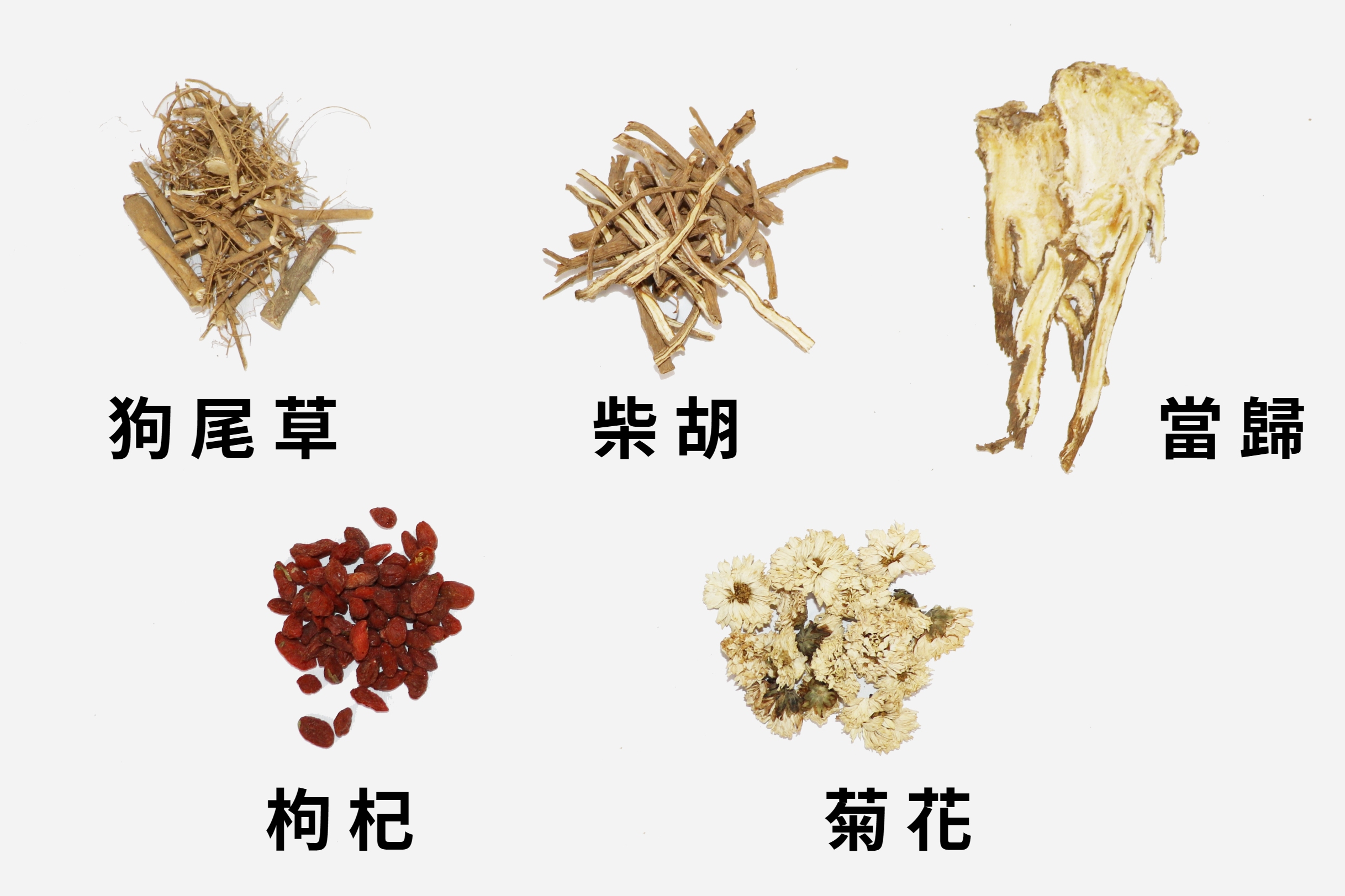 轉骨方常用藥材 0