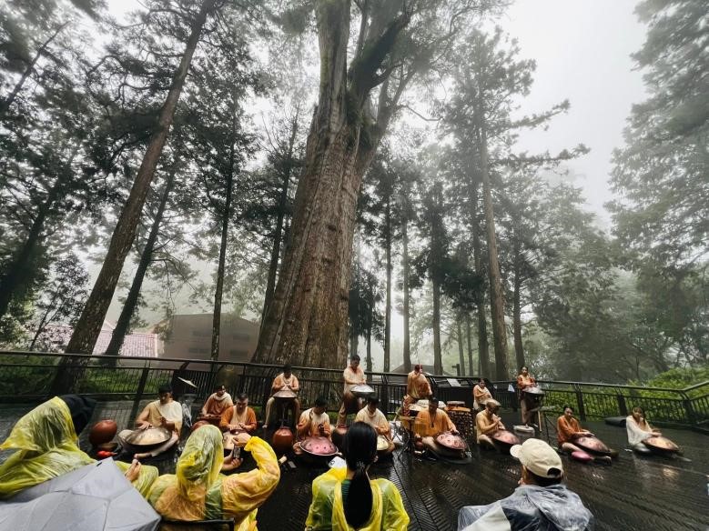 ▲在這千年神木下,以14顆手碟演出,是全台首例。
