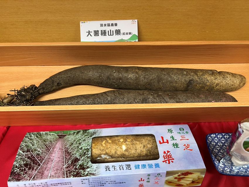 新北健康三寶-山藥季到 山海食農饗宴結合低碳輕旅 4 《圖說》大薯種山藥。〈記者葉柏成攝〉