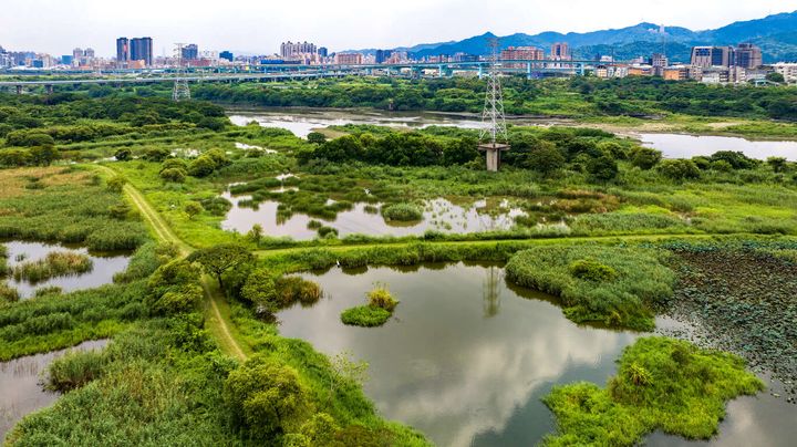 新北市坪林、三峽、雙溪「綠色旅遊」路線 串聯環境教育與在地文化