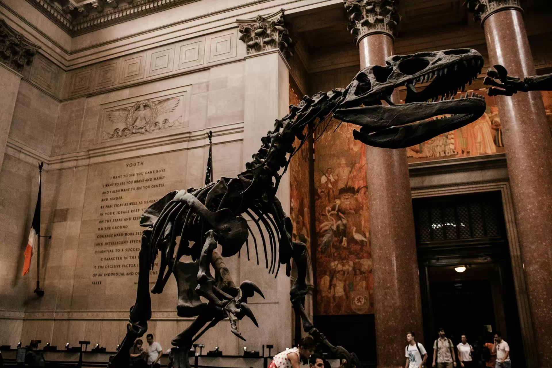 林志明作品-American Museum of Natural History。台灣照明人協會/提供
