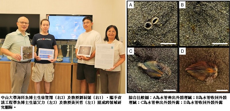 文蛤也會「逃生」! 中山大學AI監測揭求生祕技