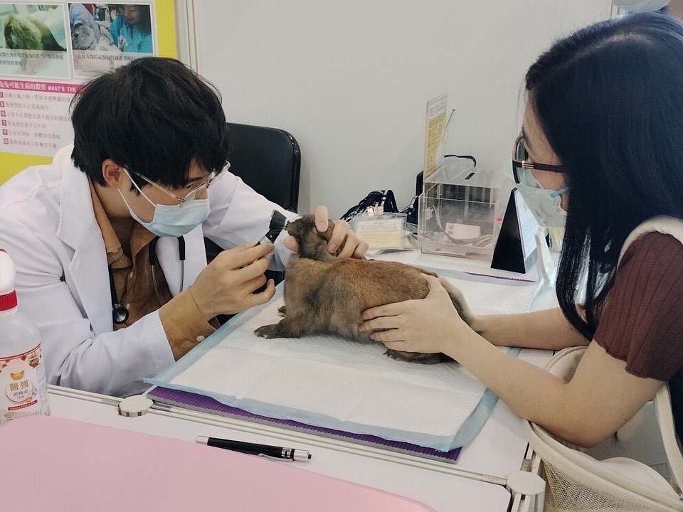 ▲玉兔健康月x愛心認養會 ，邀請培昱動物醫院和毛毛動物醫院的專業獸醫團隊提供義診。（圖/高雄大立百貨提供）
