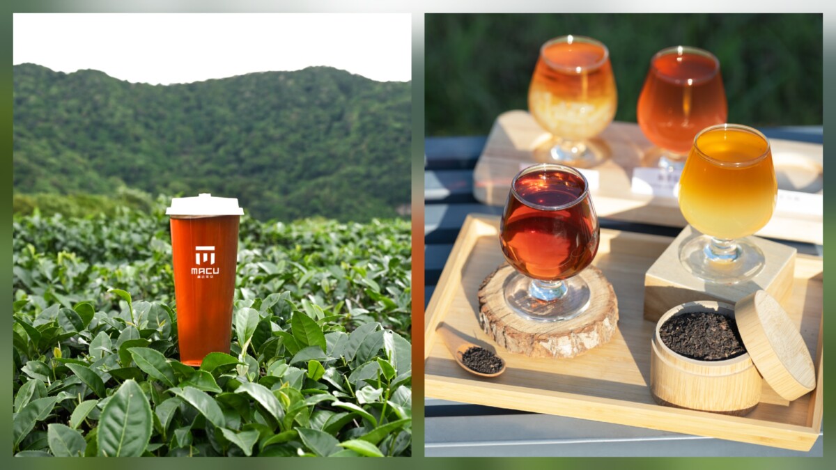 ▲麻古茶坊全新秋季代表作《紅萱烏龍》登場,以三韻焙火工藝展現紅烏龍蜜香與炭焙烏龍厚實堅果香,打造層次豐富的秋日茶飲。麻古茶坊《紅萱烏龍》系列茶飲,包含原味、紅萱雙Q、橙香紅萱及柚香紅萱等多款變奏,滿足不同味蕾需求,為中秋團聚增添幸福滋味。