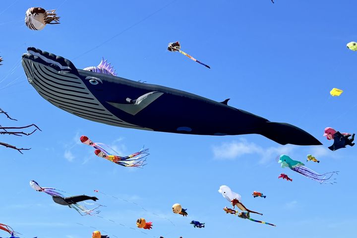 成功鎮「遨遊成功。誰與箏風」風箏節將於09/28在成功海濱公園盛大舉行! 圖:台東縣成功鎮公所/提供