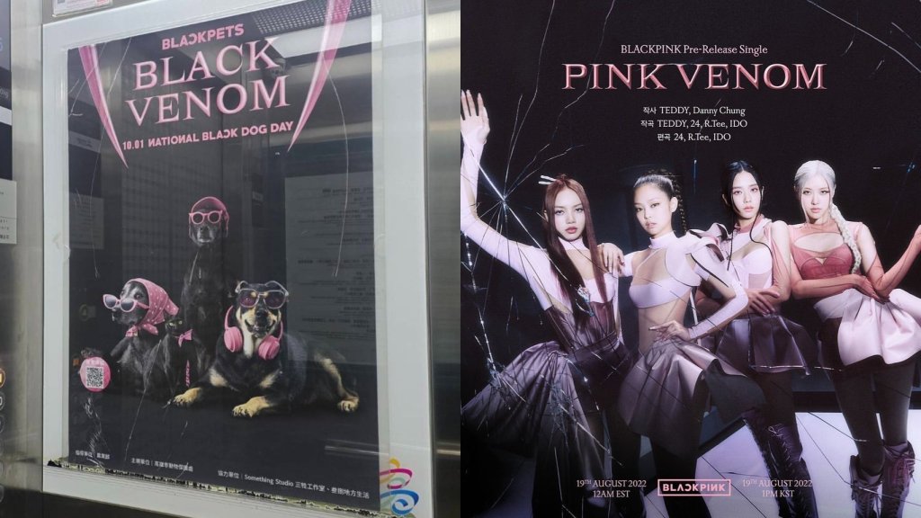 獨/新創?抄襲?高雄動保處「世界黑狗日海報」遭疑雷同blackpink