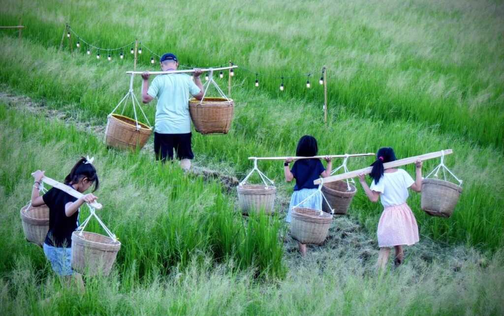▲稻田運動會，親子共享甜蜜時光。
