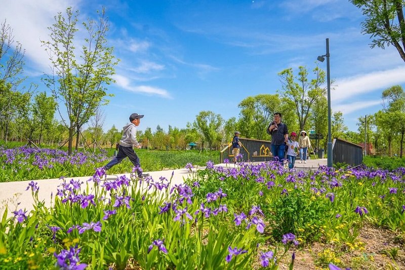 北京五年將新建25座城市級公園 2035年總數達1300個