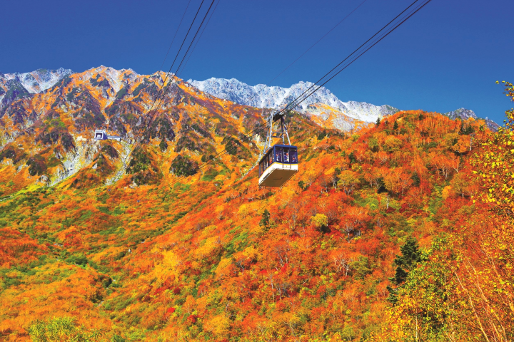 日本最早楓紅開跑！立山黑部秋日漸層美景 