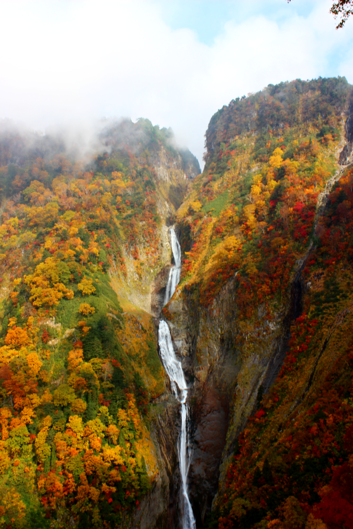 日本最早楓紅開跑！立山黑部秋日漸層美景 