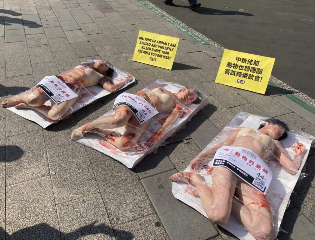 PETA（亞洲善待動物組織）支持者裸身上演「盒裝人肉」行動，呼籲社會大眾正視動物所面臨的殘酷命運。（圖／PETA提供）