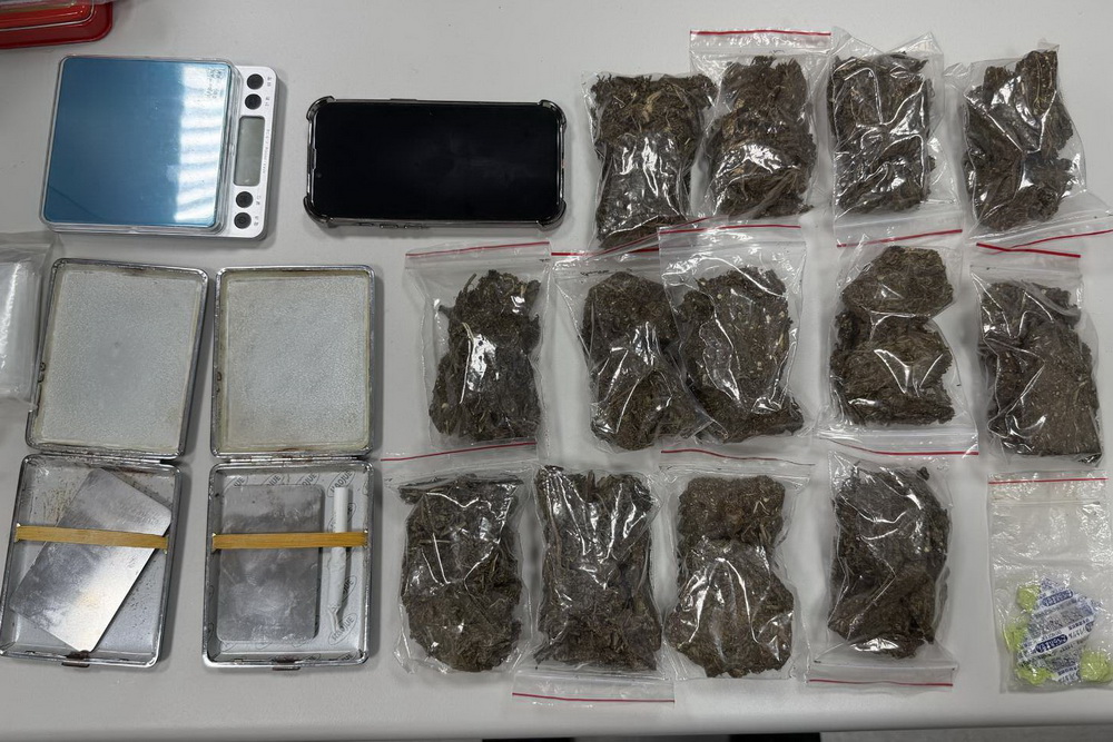 高檢署0917專案「破麻」　逮245毒蟲、扣1.68公斤大麻 269