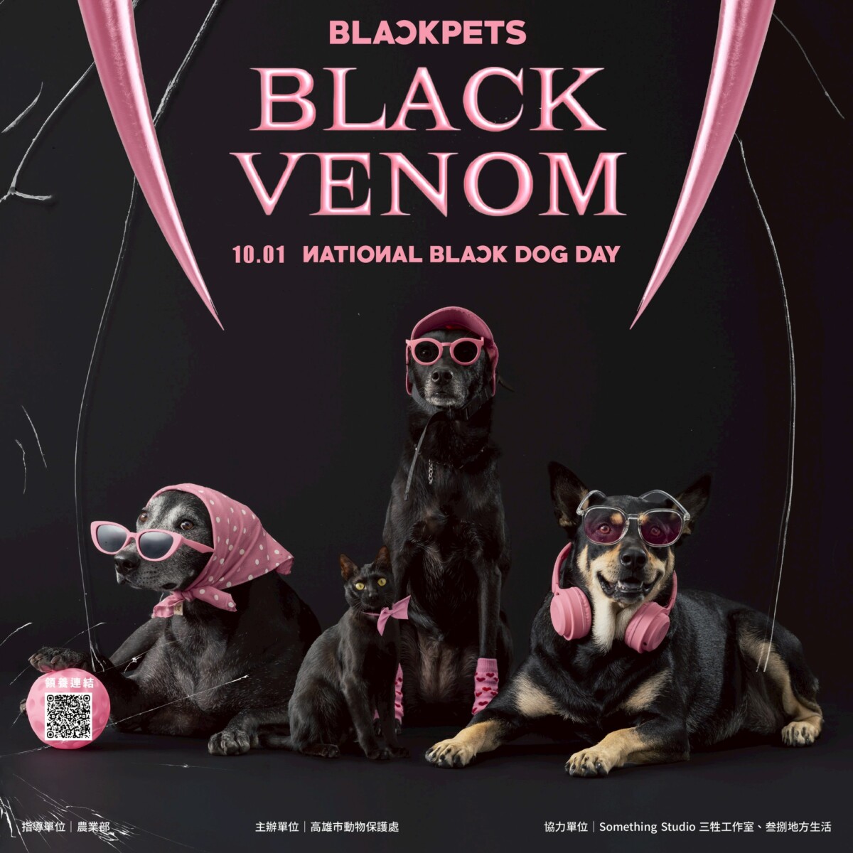 ▲帥氣十足!《BlackDog》演唱會萌力登場,高市動保處用黑狗故事翻轉刻板印象。