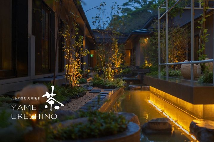 太平洋旅行社以茗茶、溫泉、藝文規劃感動人心的深度旅程。 圖:太平洋旅行社/提供