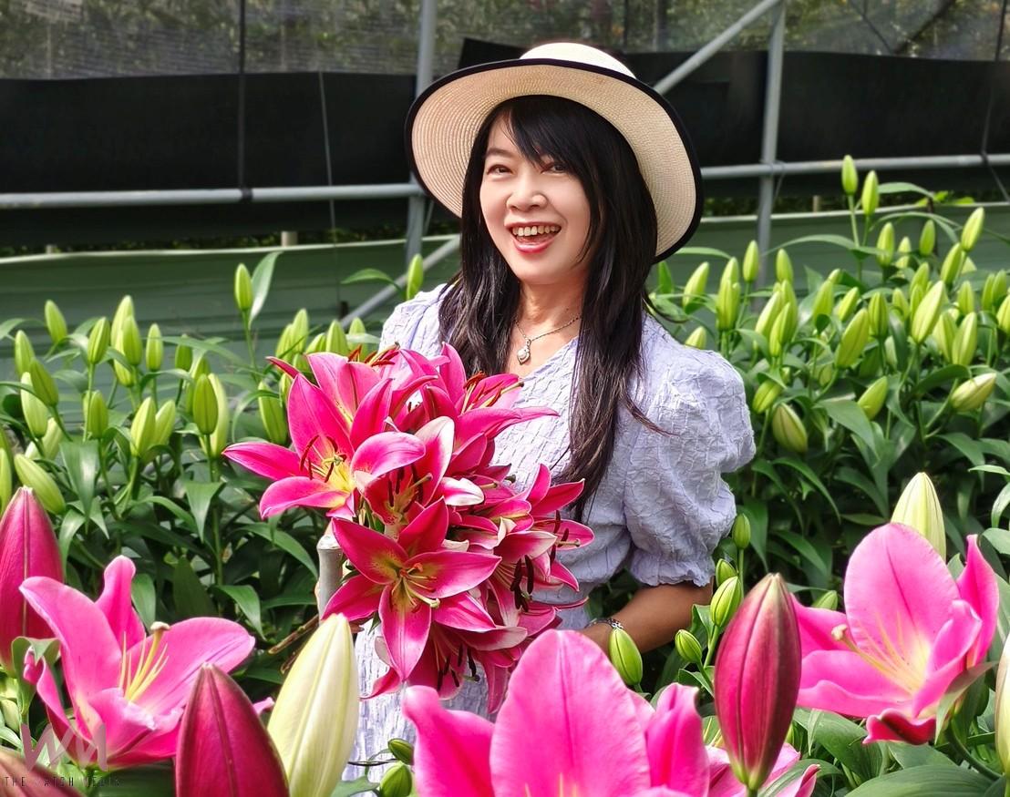 阿里山百合花季盛大登場 40種荷蘭新品種絢麗綻放 - https://www.watchmedia01.com
