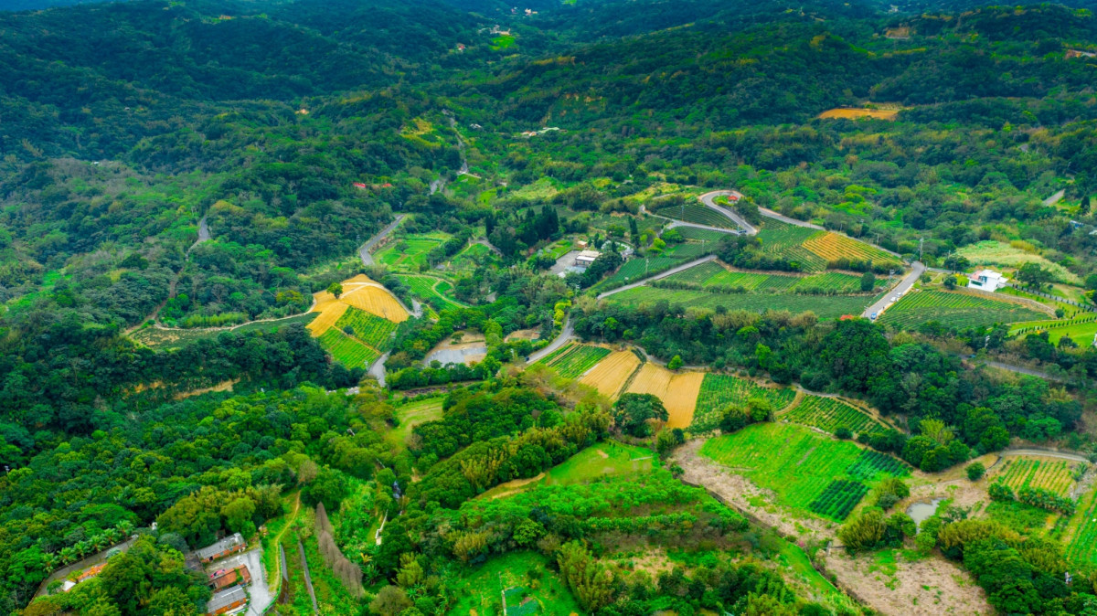 桃園市政府農業局邀您走進龍潭淺山客庄，感受茶香與艾草香交織的療癒氛圍。