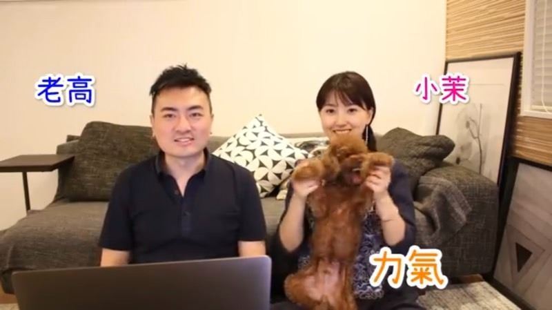 老高宣布頻道將無限期停更。(圖/翻攝老高與小茉YouTube)