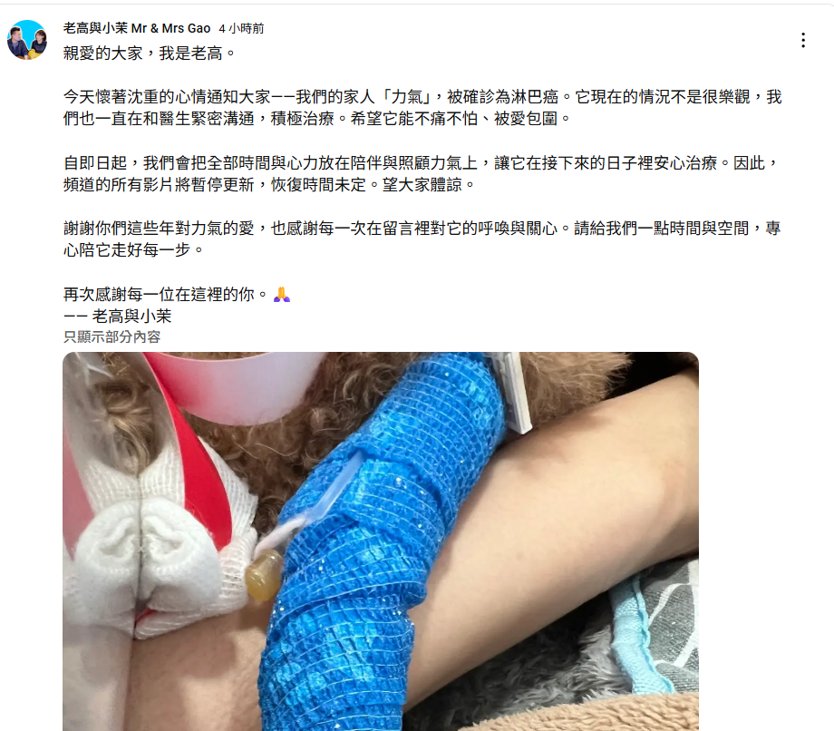 老高宣布頻道將無限期停更。(圖/翻攝老高與小茉YouTube)
